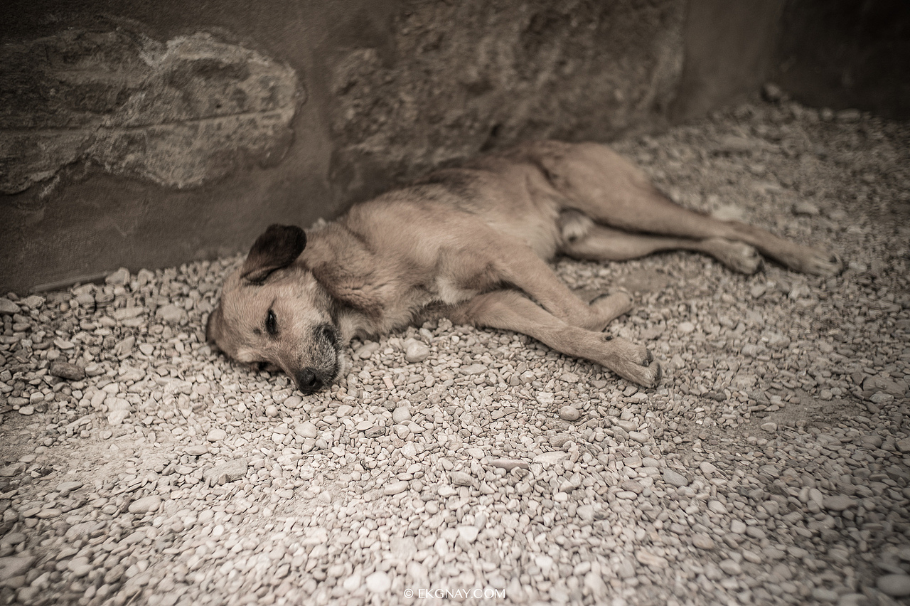 土耳其和埃及扫街杂片（图ZMjUxNjU1OTI=） - 风光摄影 - 站酷设计师树多村光原创素材 - 站酷ZCOOL