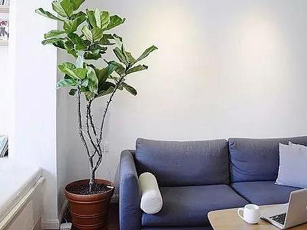 日式风格家装案例，把生活过成诗