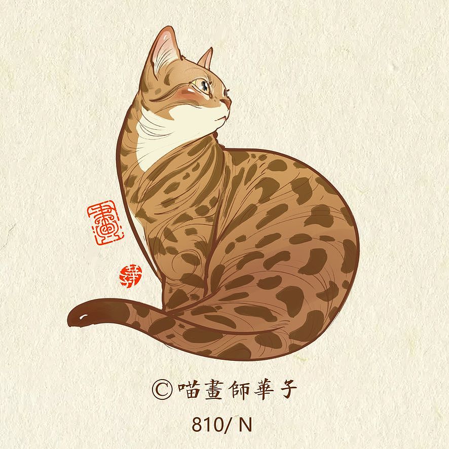 画猫的第三季150天,837天的画猫纪录