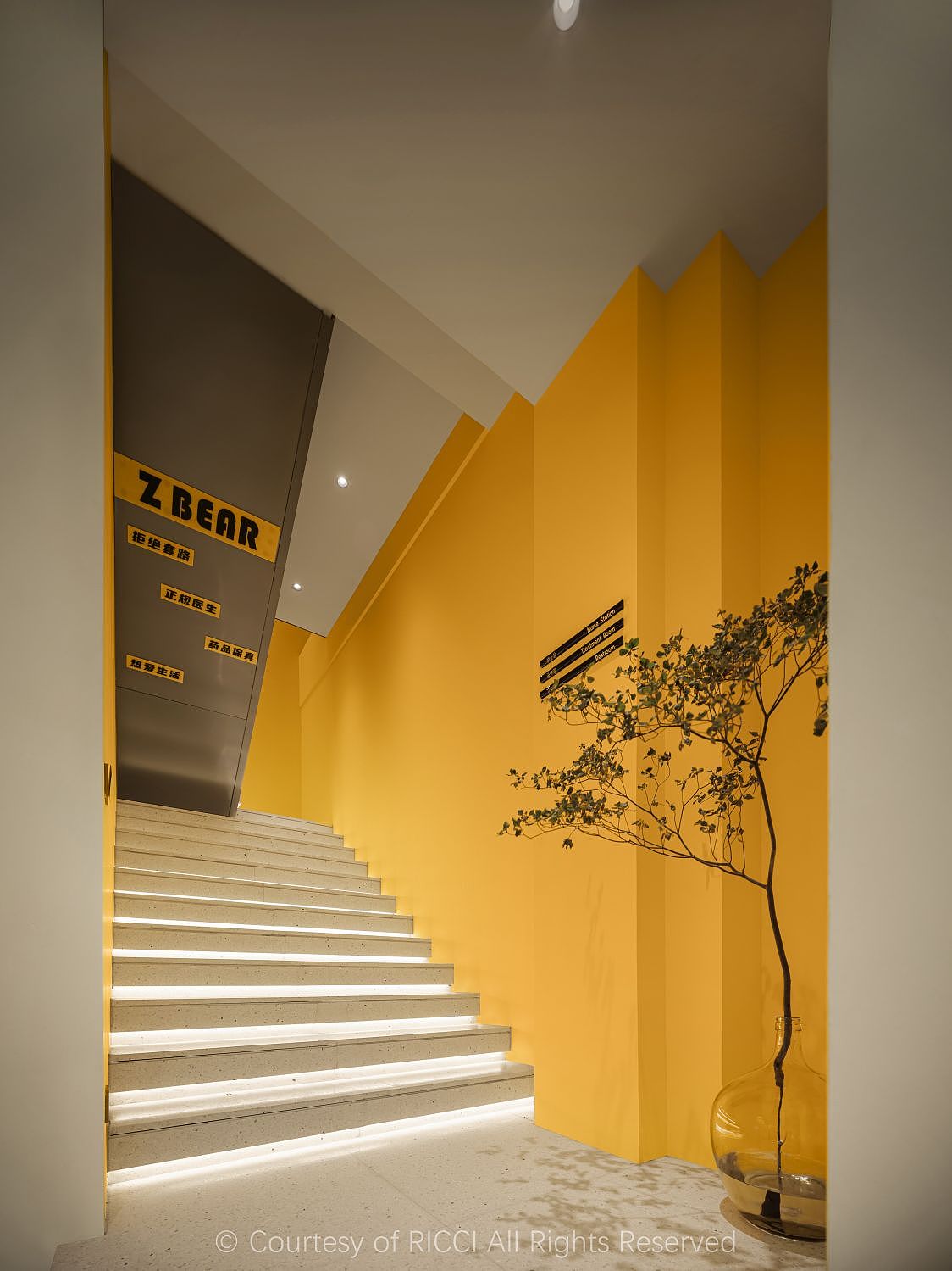 RICCI·末染设计｜张小熊Z＆BEAR（图ZMzU4NTI0NDgw） - 环境/建筑摄影 - 站酷设计师RICCI空间摄影原创素材 - 站酷ZCOOL