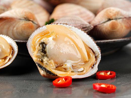 贝类海鲜10种各一张样片吧丨内陆的我只能统称它们蛤蜊