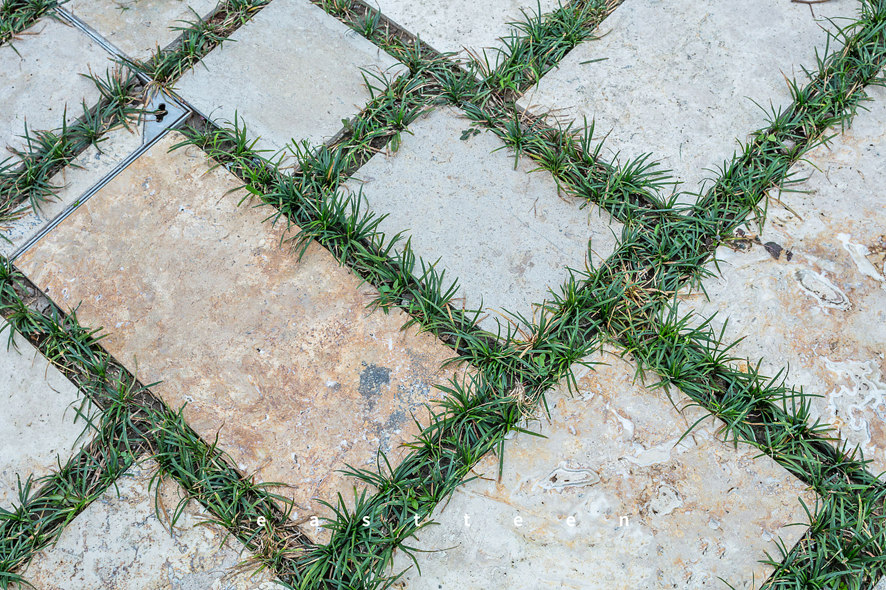 花园设计 I 花园这么漂亮,我要申请睡花园