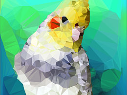 生命，是一树花开……