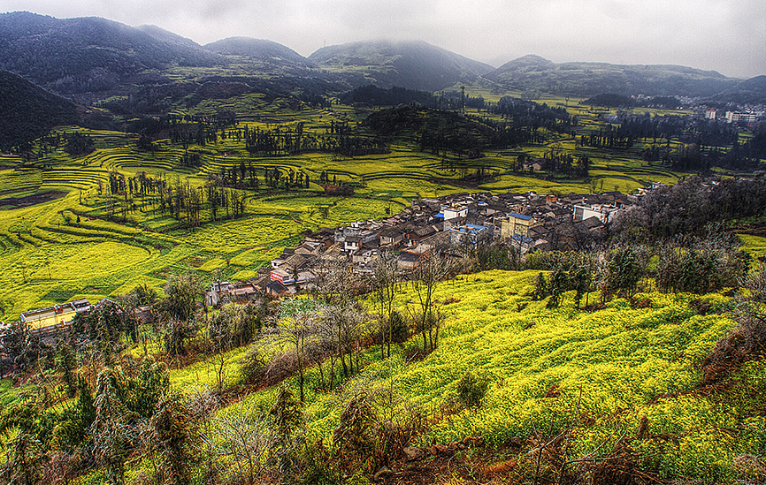 云南-罗平油菜花（图ZMTQxMzE0NDg=） - 风光摄影 - 站酷设计师RyanShao原创素材 - 站酷ZCOOL