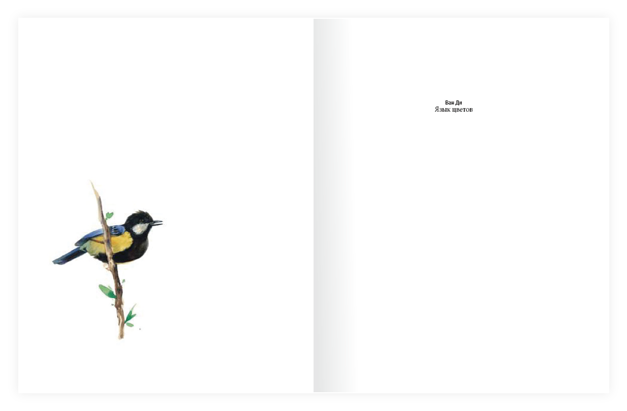 原创书籍排版《花语》