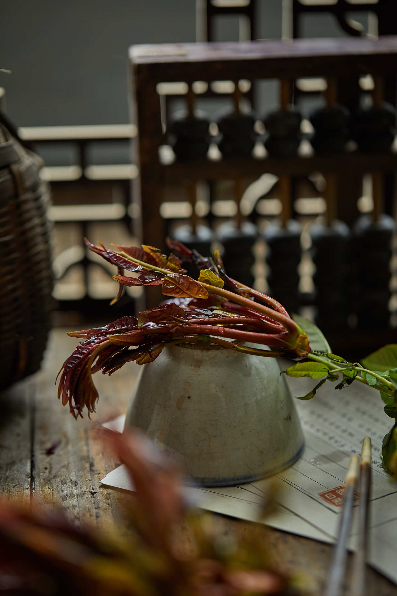 野菜——春季篇