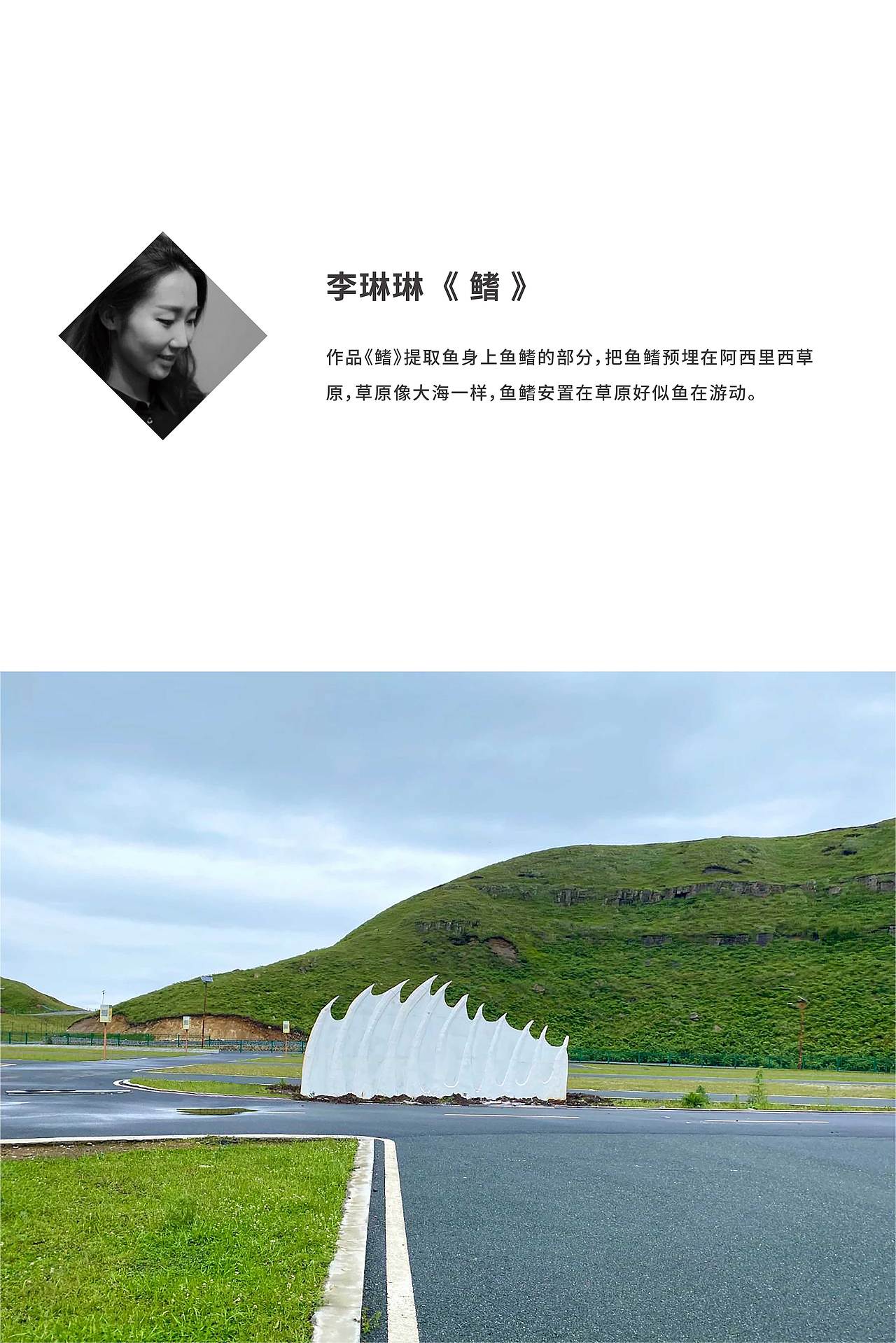阿西里西是谁 行走的艺术 第四季