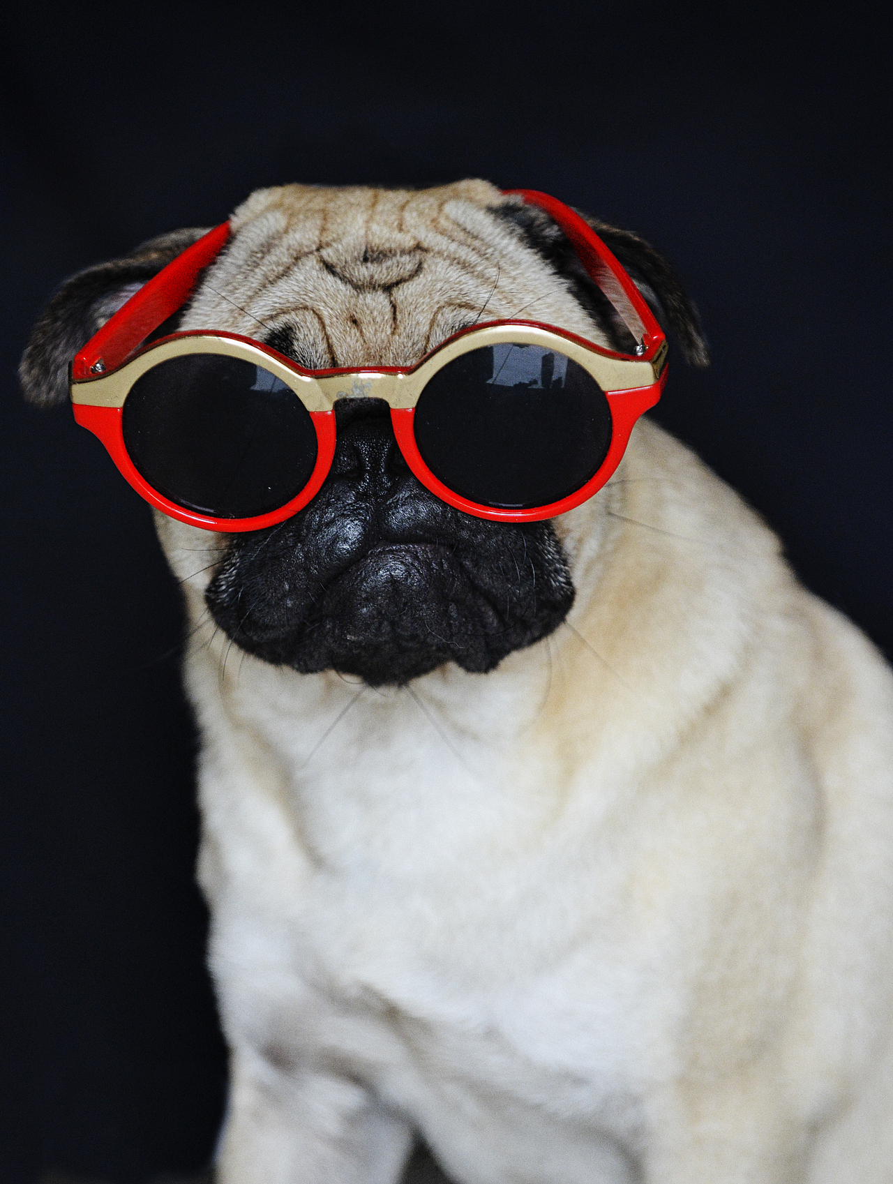 霸气侧漏,不得了 不得了