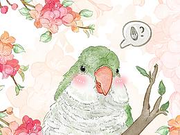 是一只毛绒小鸟