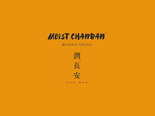 润长安视觉表现