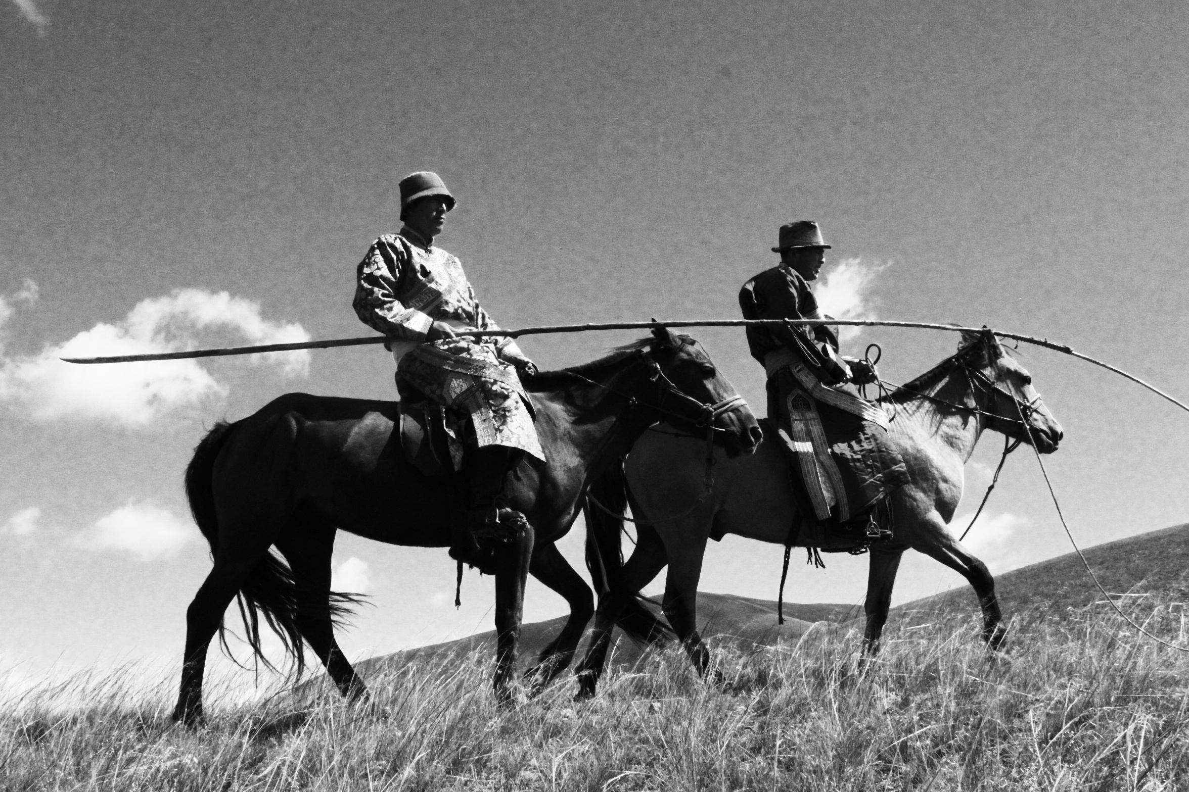骑马也能玩花样？看蒙古族人如何在马背上表演杂技？_巴尔