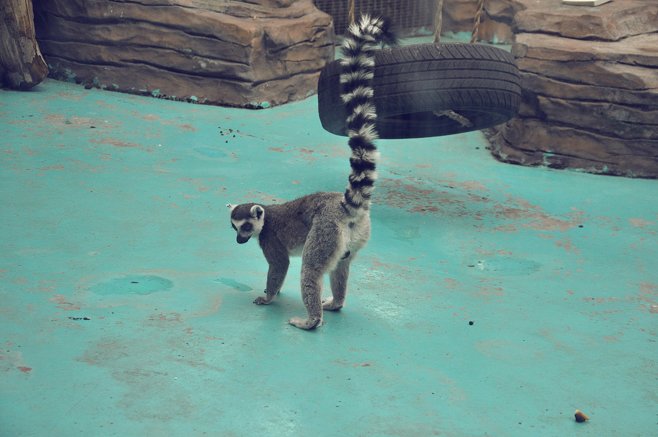 你妹!屁股对着我!