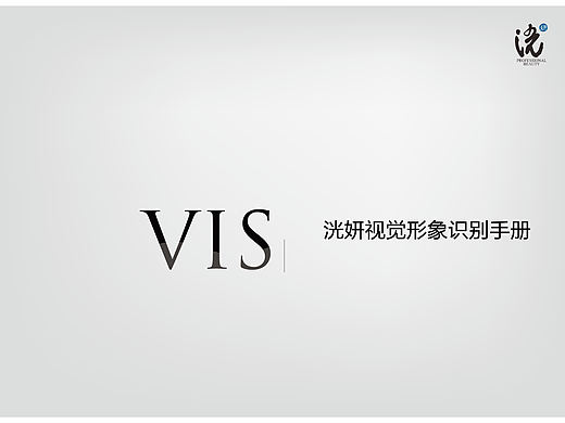 视觉识别手册