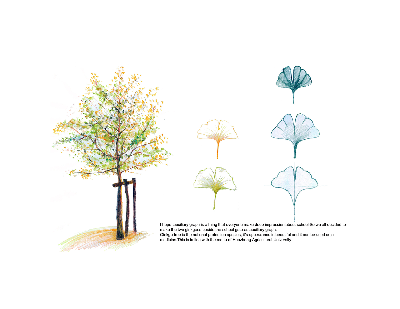 品牌设计 | 华中农业大学VI系统设计（图ZNzM5MTcxODg=） - 品牌 - 站酷设计师ChungCao原创素材 - 站酷ZCOOL