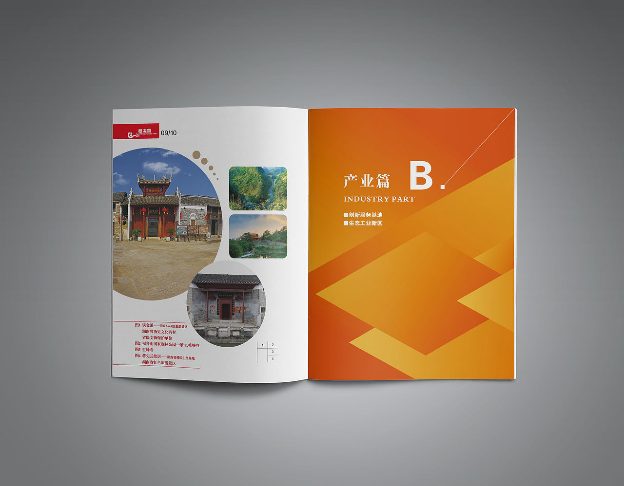 商务局 投资指南（图ZNjIzNDU5ODQ=） - 书籍/画册 - 站酷设计师百香果味的阿鲁原创素材 - 站酷ZCOOL