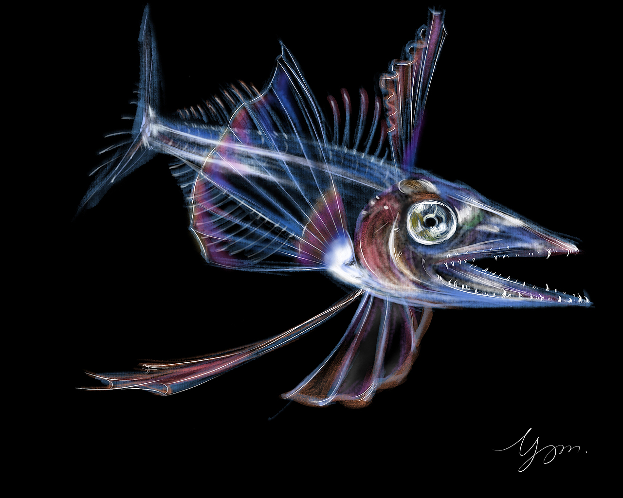 鱼（图ZMjE0ODg3MjE2） - 创作习作 - 站酷设计师余小妍原创素材 - 站酷ZCOOL