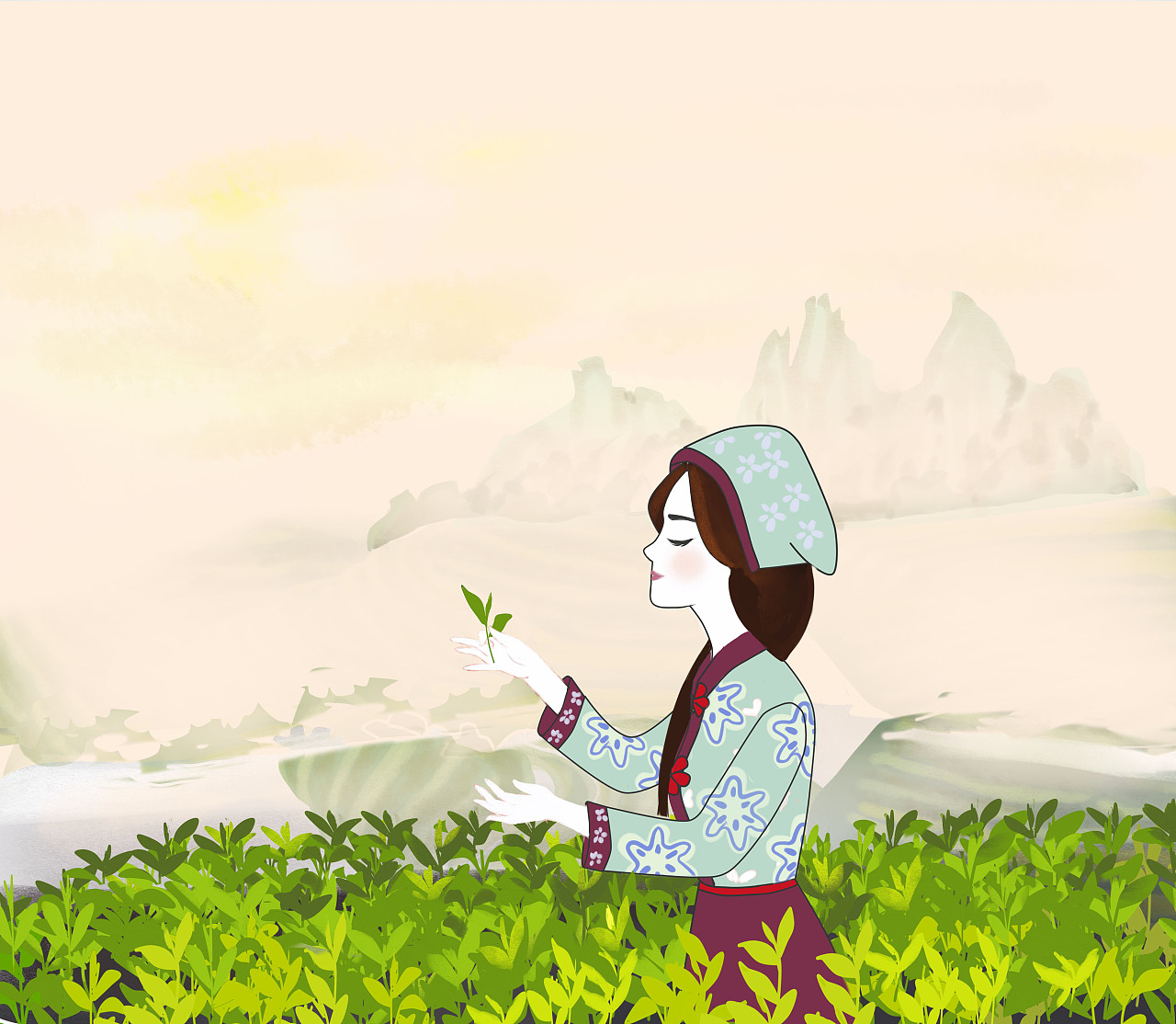 茶叶 包装插画设计