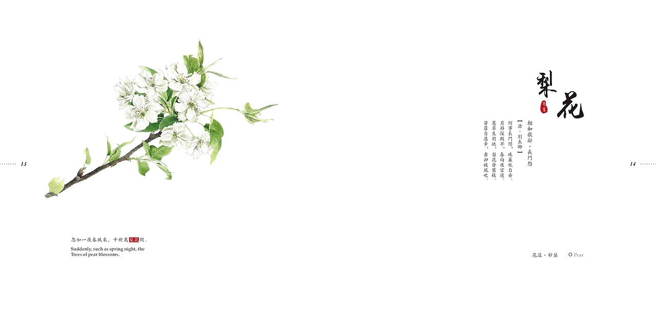 毕业设计——《成都植物园》