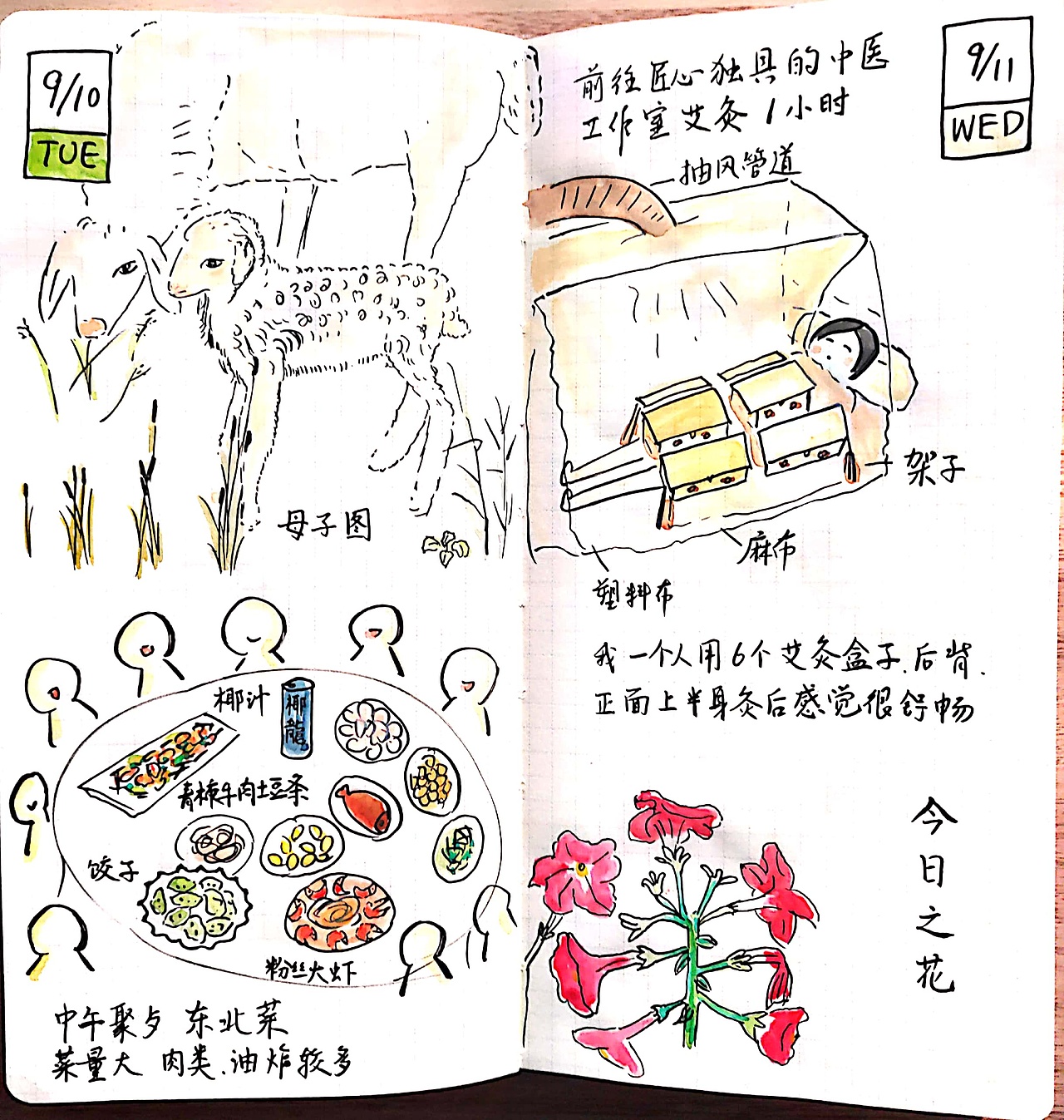 春楠手账2019(一)