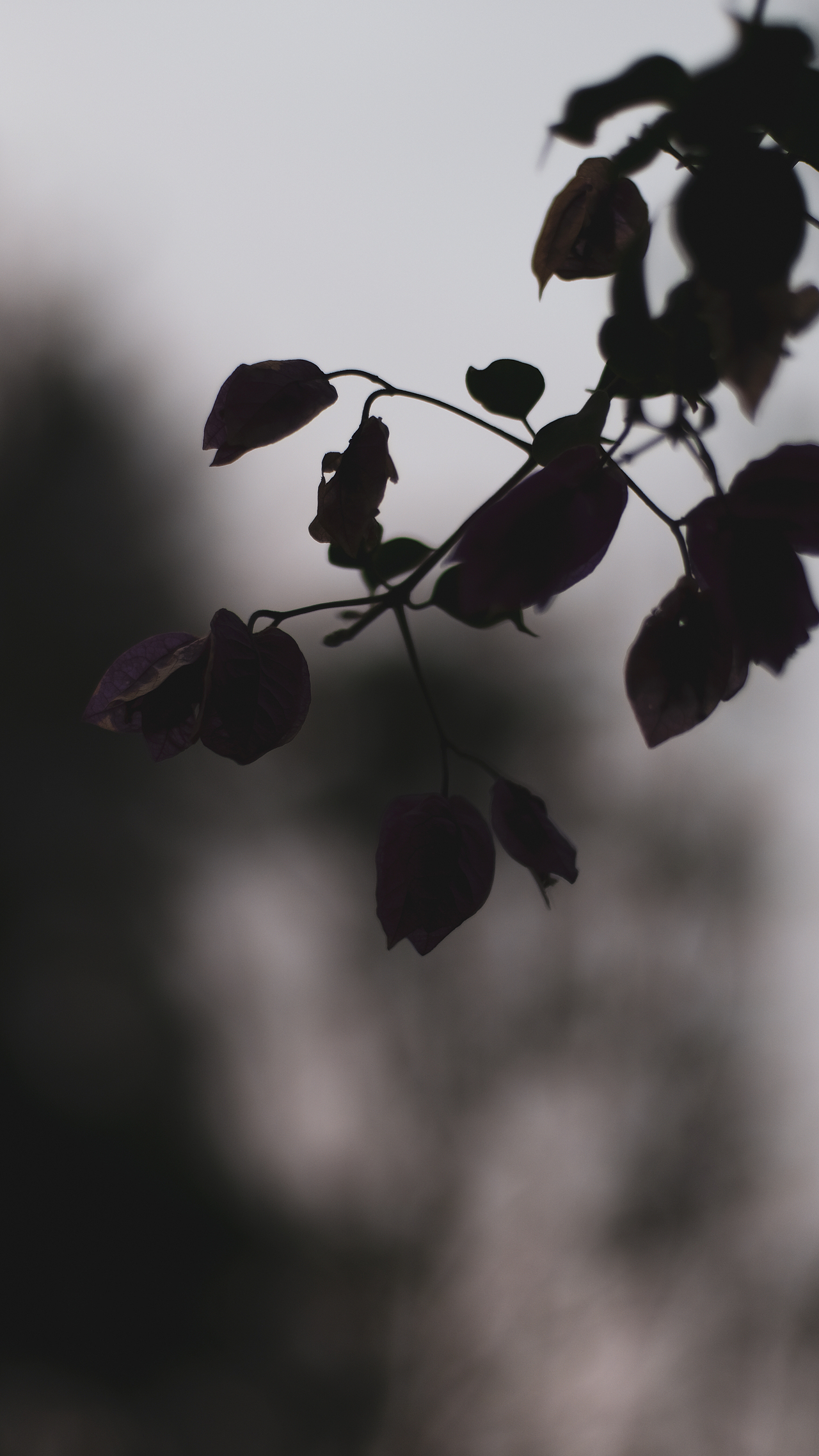 jn.（图ZMjQwNzY5MjQw） - 人文/纪实摄影 - 站酷设计师恶趣未原创素材 - 站酷ZCOOL