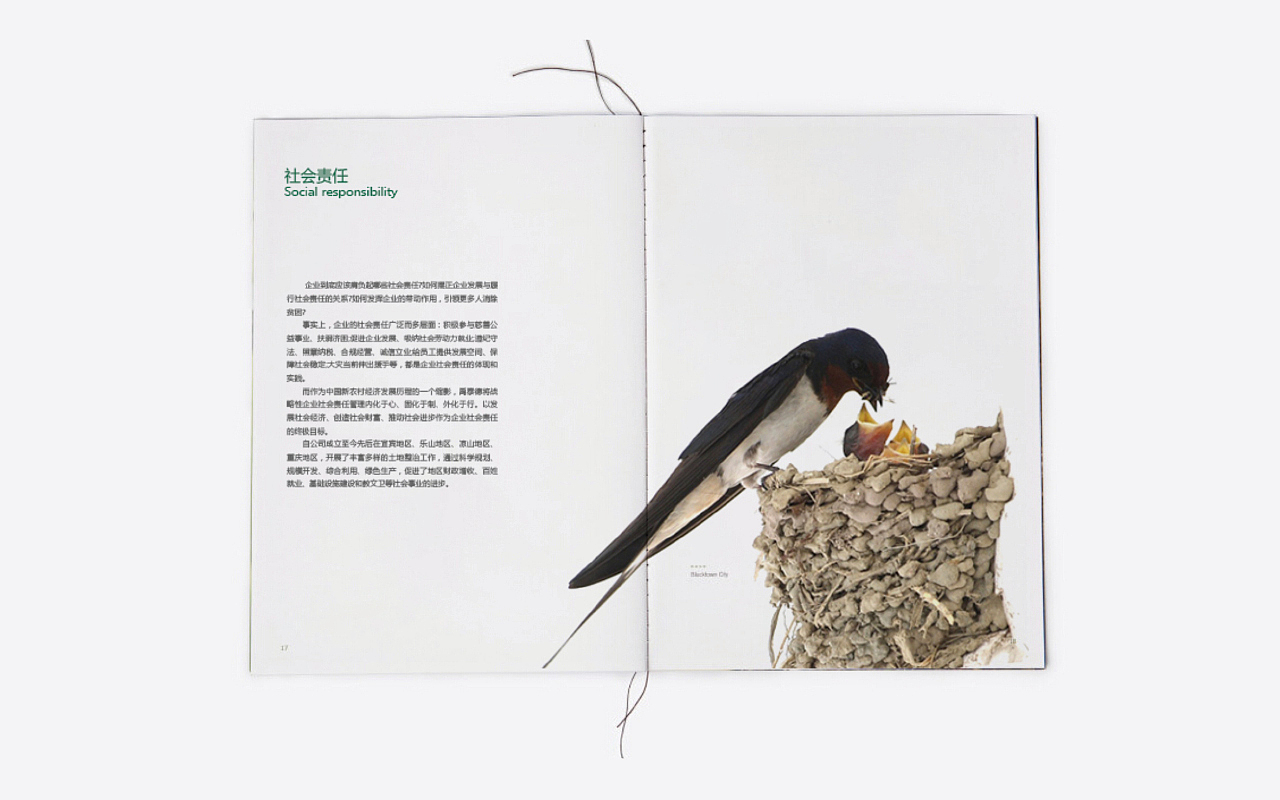 土地开发企业画册（图ZMjM3MjQxMjMy） - 书籍/画册 - 站酷设计师简单易懂原创素材 - 站酷ZCOOL