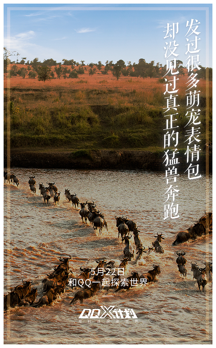 QQx计划先导海报