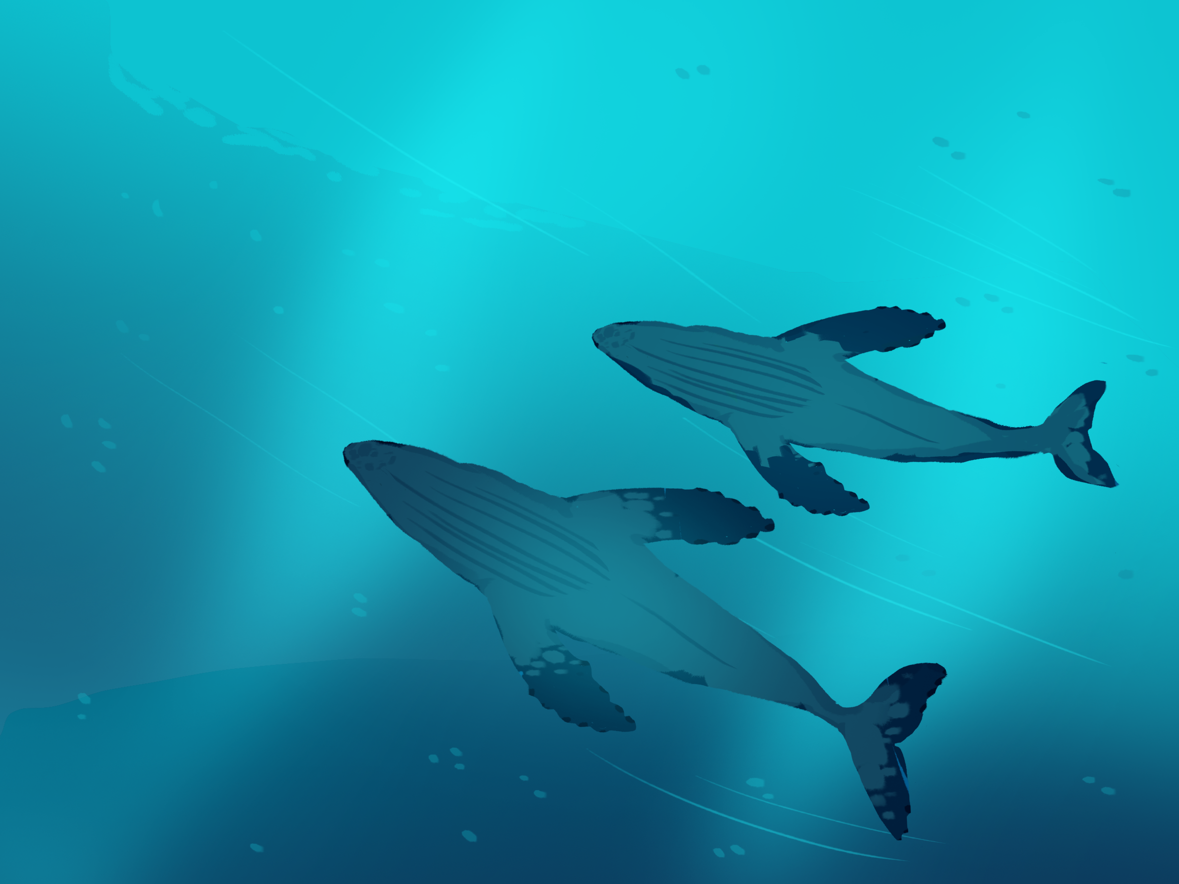 呂小嘻嘻嘻的個(gè)人主頁(yè)（封面預(yù)覽） - 主頁(yè)封面設(shè)置 - 站酷設(shè)計(jì)師呂小嘻嘻嘻原創(chuàng)素材 - 站酷ZCOOL