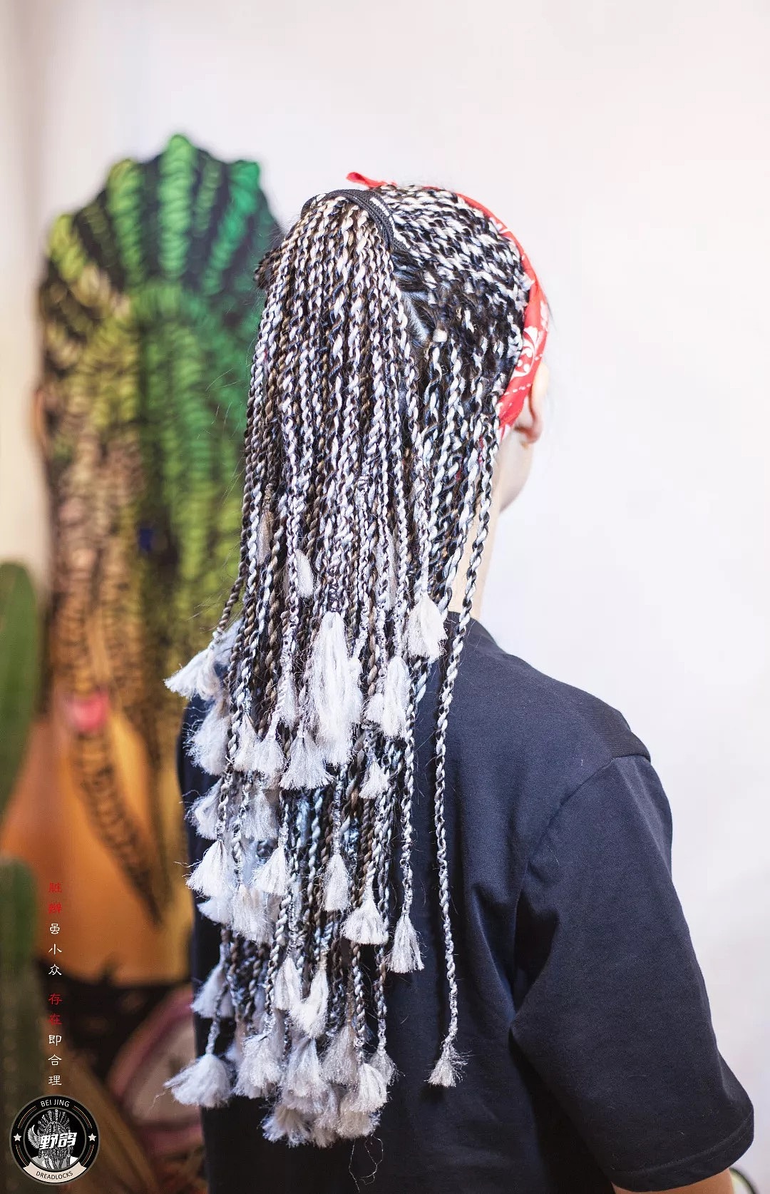 扭搏辫/twistbraids