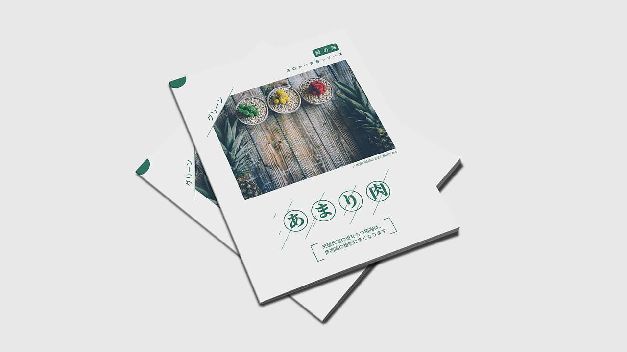 画册（图ZMTcyNzQ2MTU2） - 书籍/画册 - 站酷设计师CAONEZERO原创素材 - 站酷ZCOOL