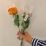 常阿宇的头像