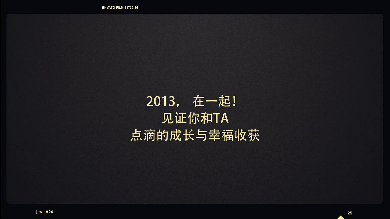 2013年年会视频之二