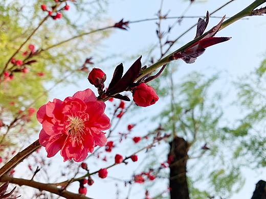 風(fēng)光正好（個(gè)人主頁-ZMzQ0Mzg1ODQ=） - 風(fēng)光攝影 - 站酷設(shè)計(jì)師大琳lady原創(chuàng)素材 - 站酷ZCOOL