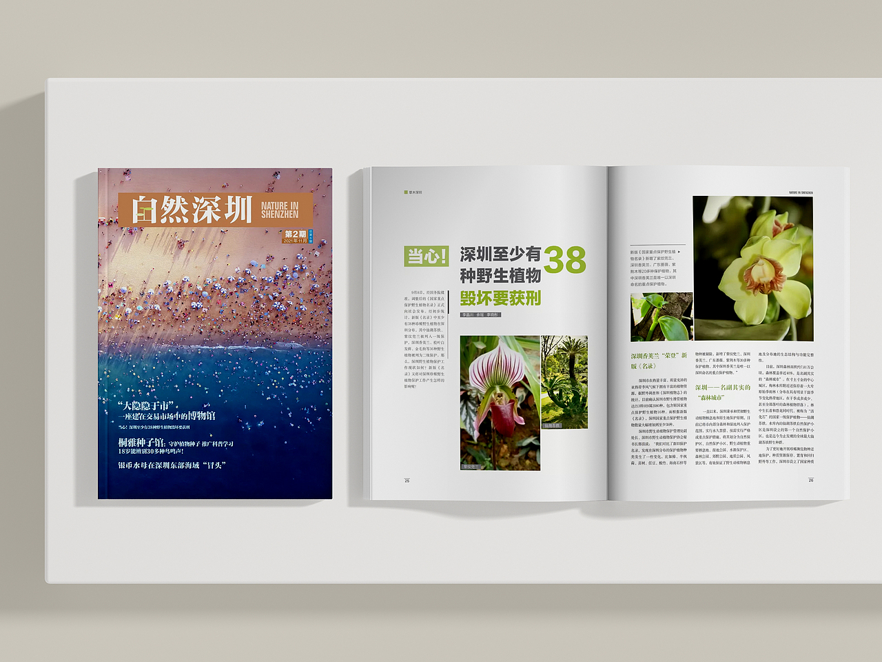 自然深圳（图ZMjk0NDY2NTMy） - 书籍/画册 - 站酷设计师Wuly行止原创素材 - 站酷ZCOOL