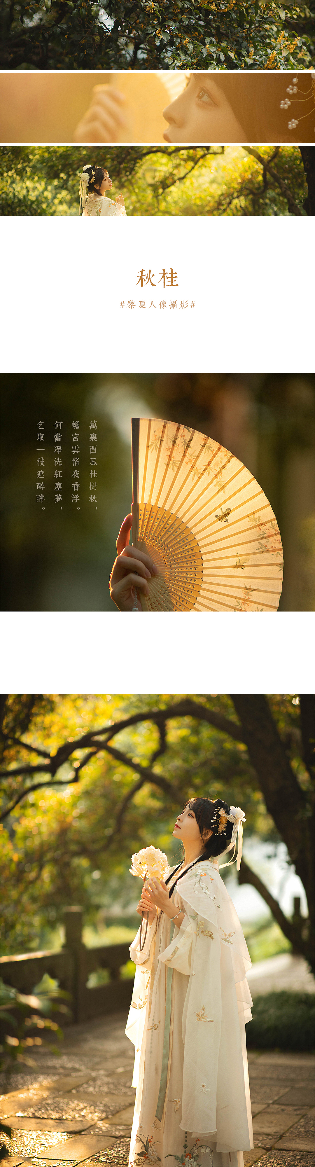 秋桂（图ZMjc2MjM3MzI0） - 人像摄影 - 站酷设计师黎夏Sweet原创素材 - 站酷ZCOOL