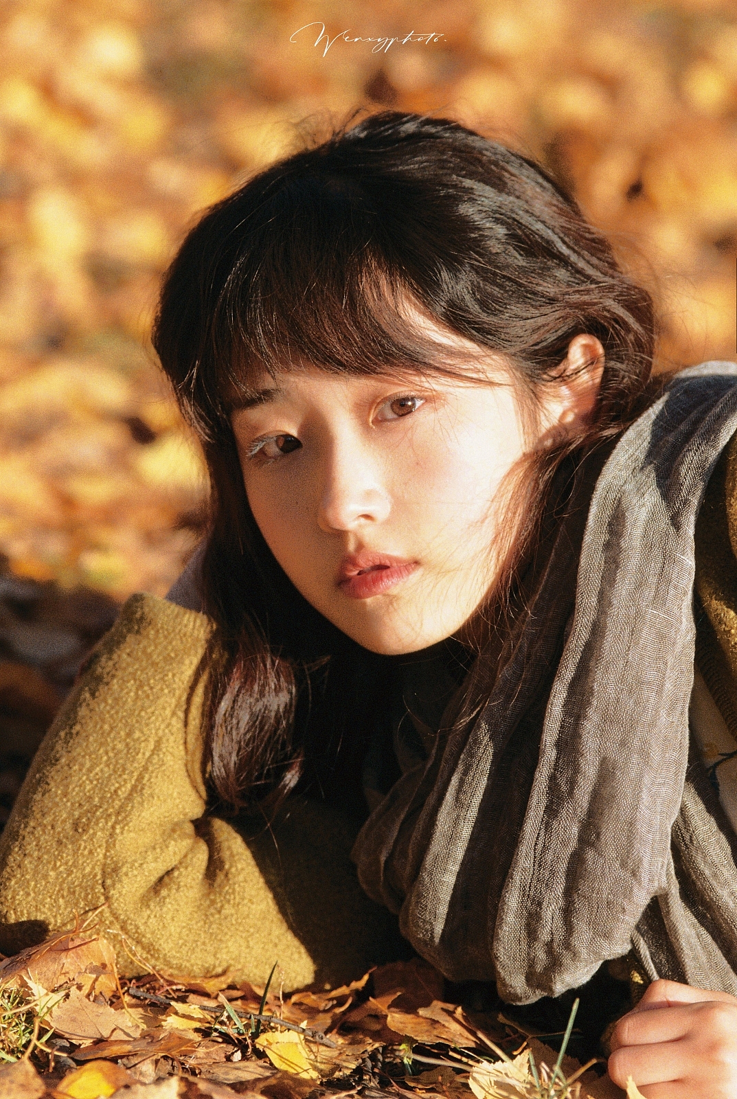 北国秋色（图ZMjM5ODczNDg4） - 人像摄影 - 站酷设计师Wenxy原创素材 - 站酷ZCOOL