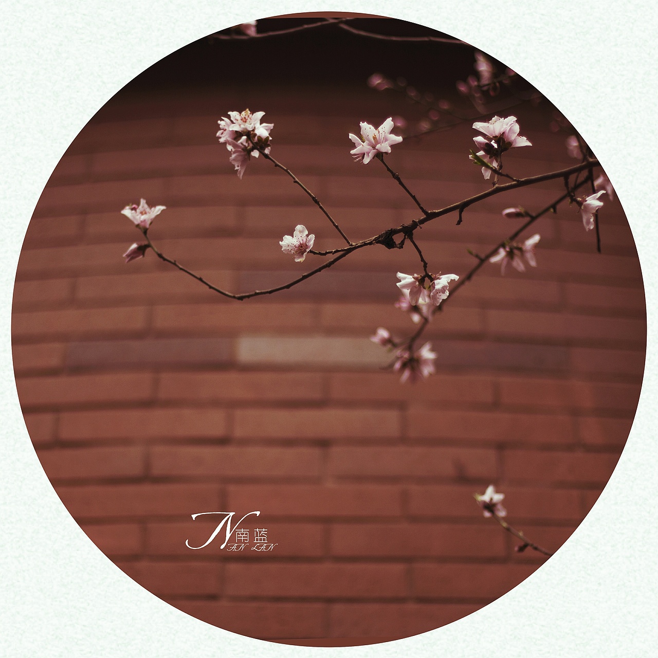 春天的春（图ZNzM0MzM5MDQ=） - 风光摄影 - 站酷设计师青梅子44原创素材 - 站酷ZCOOL