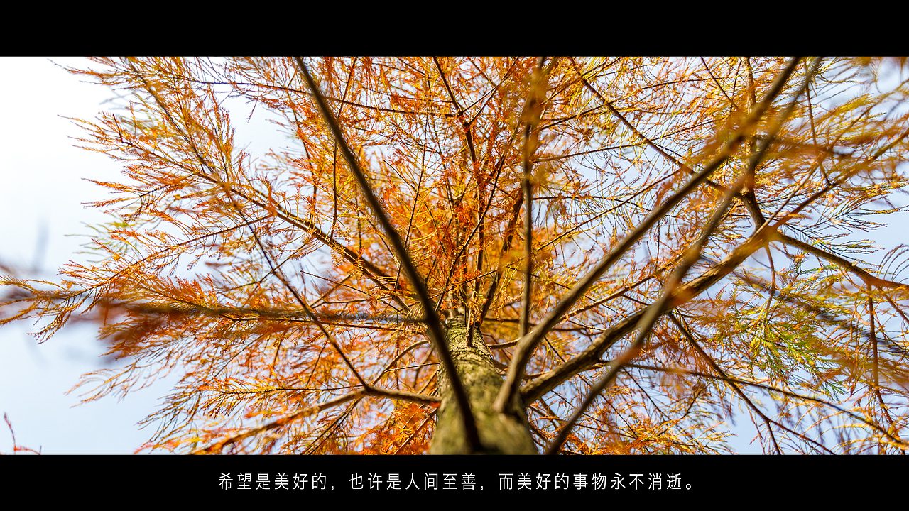 金秋的颜色（图ZMTg1NTYwOTIw） - 风光摄影 - 站酷设计师一路记录原创素材 - 站酷ZCOOL