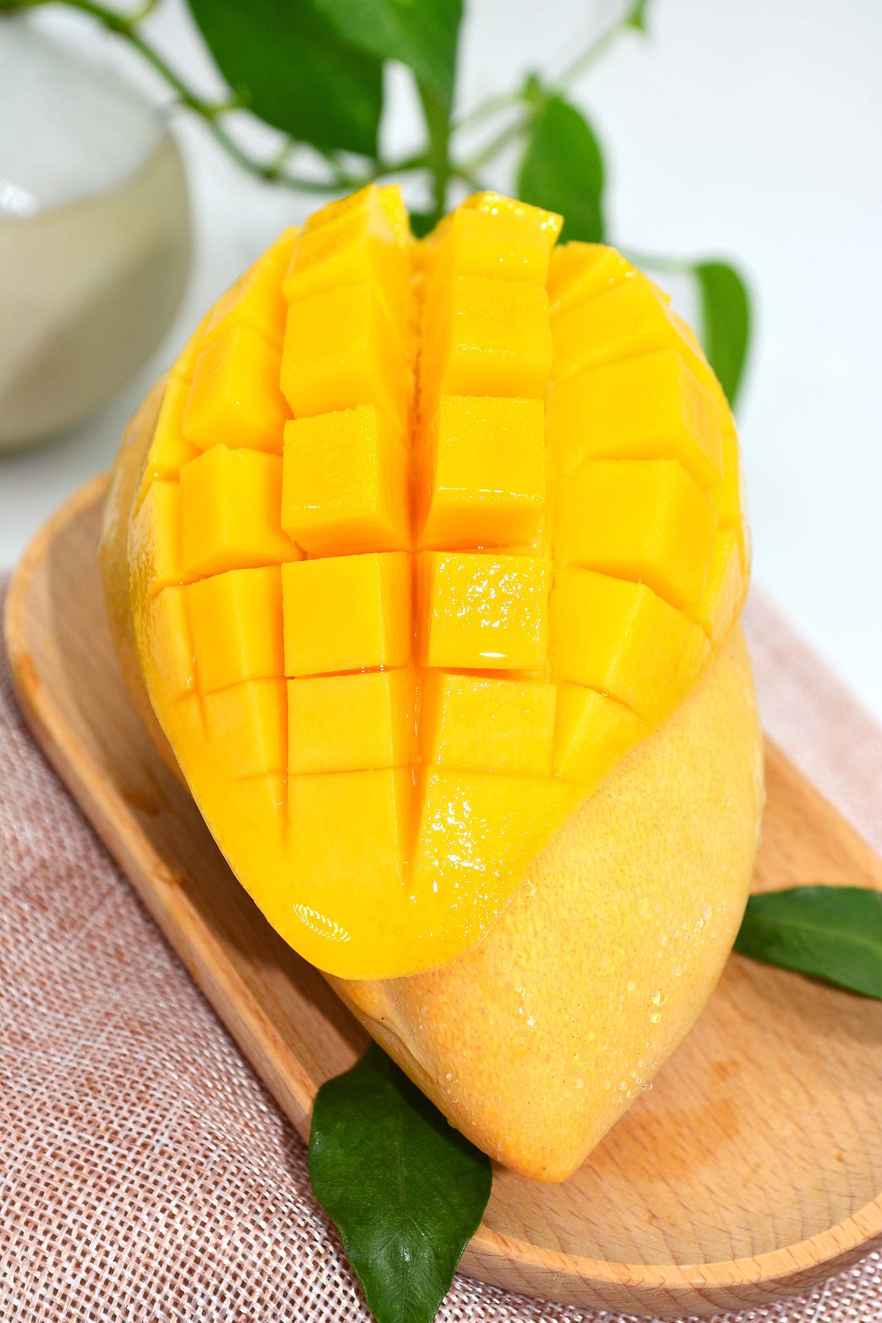 芒果/金煌芒/水娇芒/玉芒/大青芒/水果