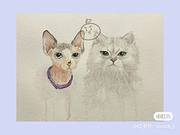 猫咪水彩