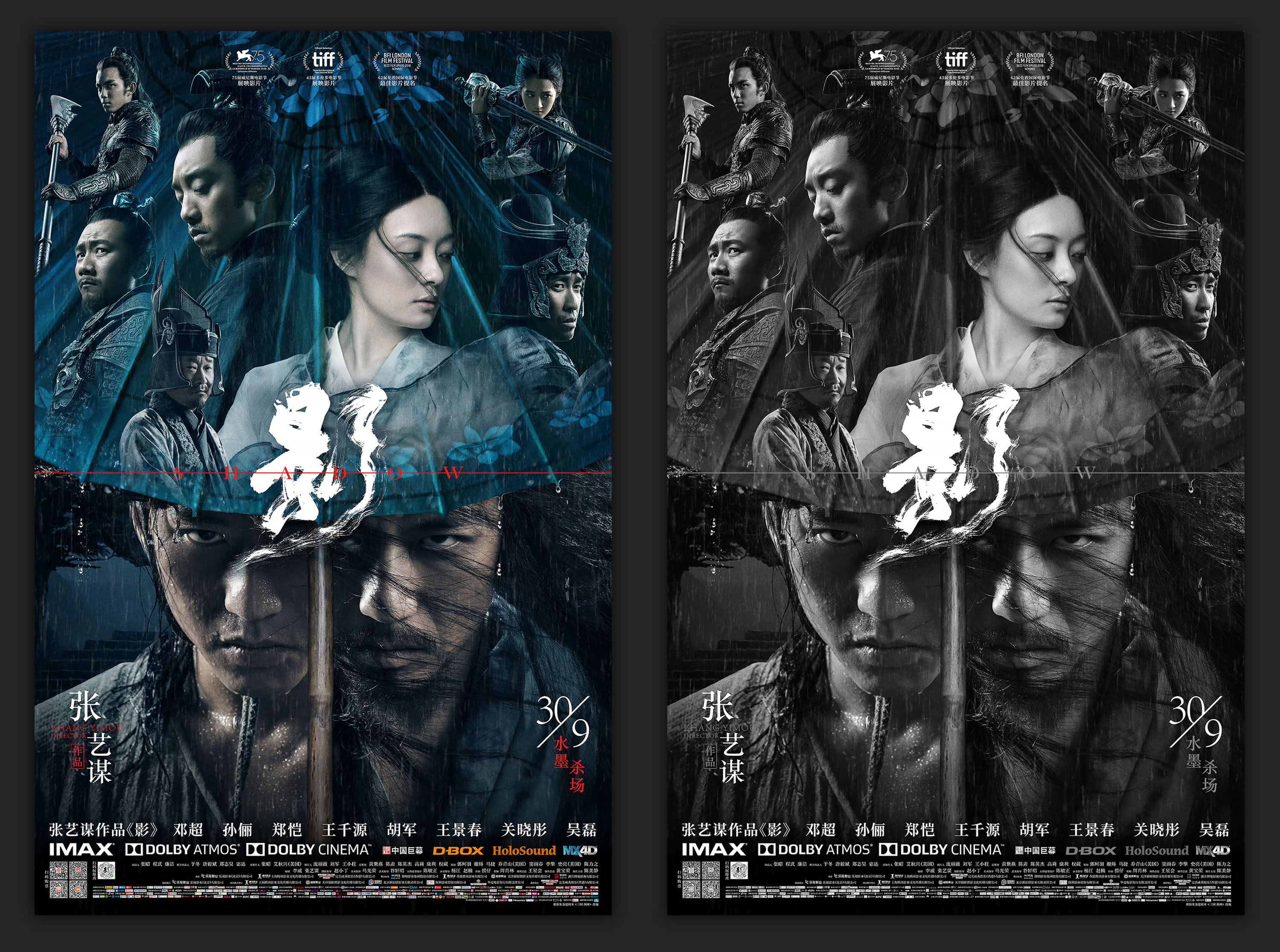 张艺谋电影作品《影》终极海报