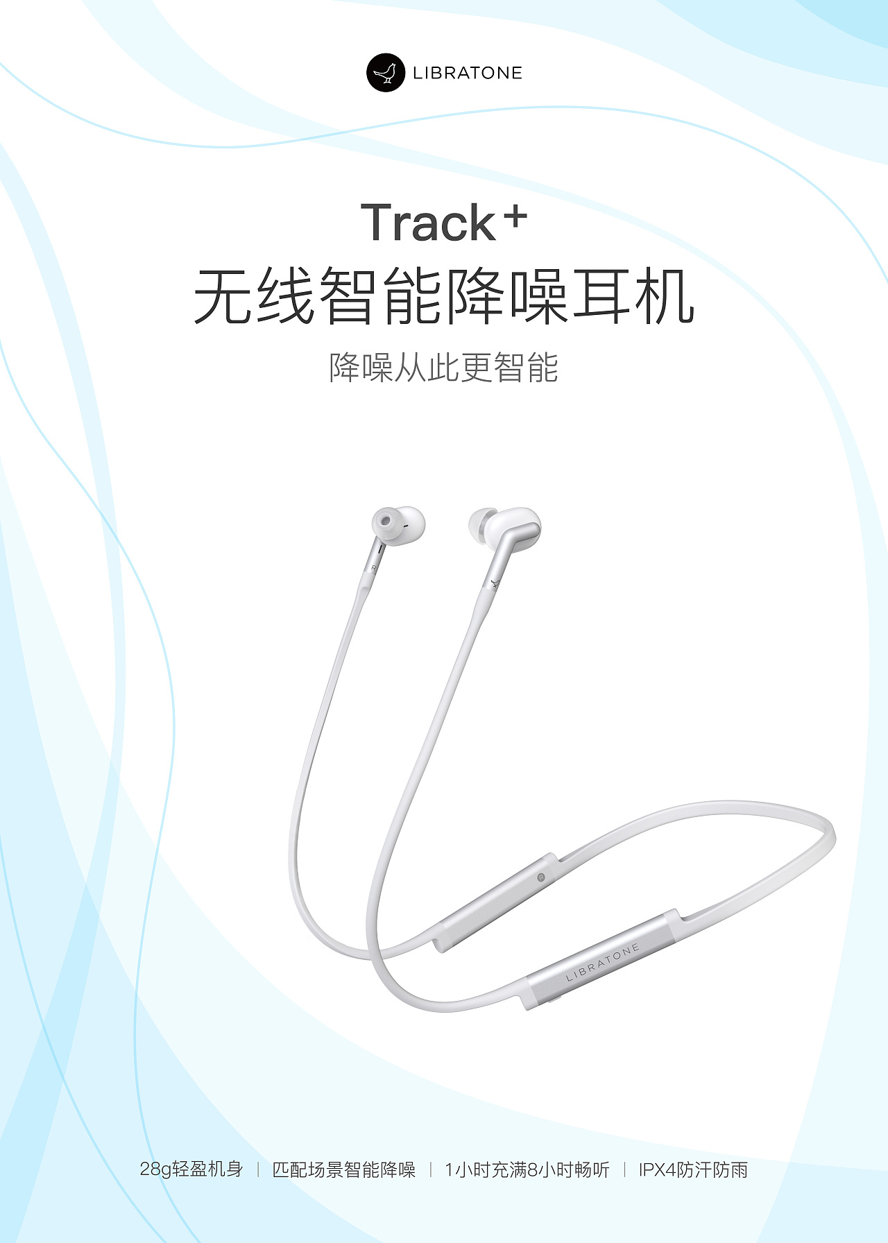 小鸟音响track+海报，风和静谧的夜晚