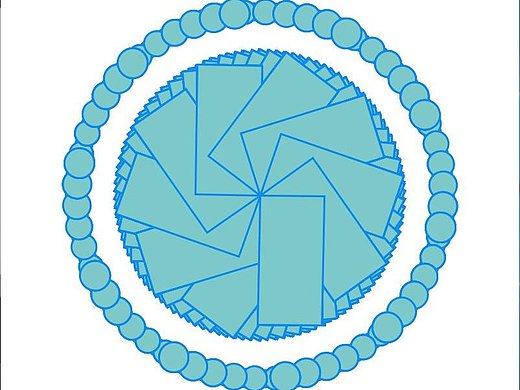 动态八卦和花的变形