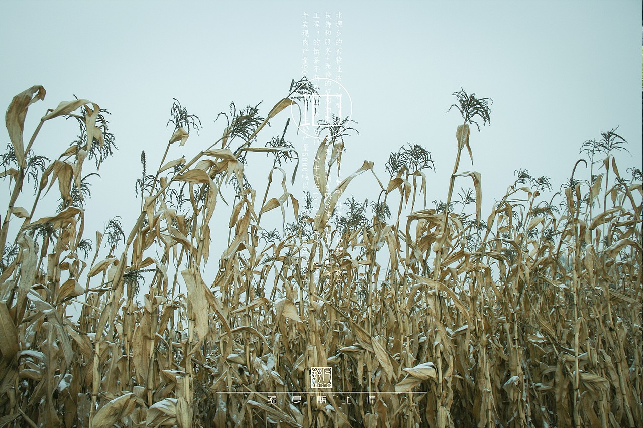 临夏 志（图ZMzAxMjI3MTI=） - 风光摄影 - 站酷设计师熟饭要发光原创素材 - 站酷ZCOOL