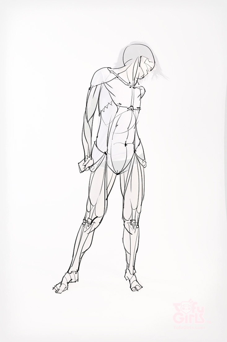 「素材」分享一波绘画专用人体解剖素材 part 09