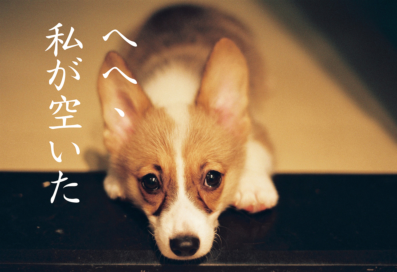 吴熙玮和他的胶片