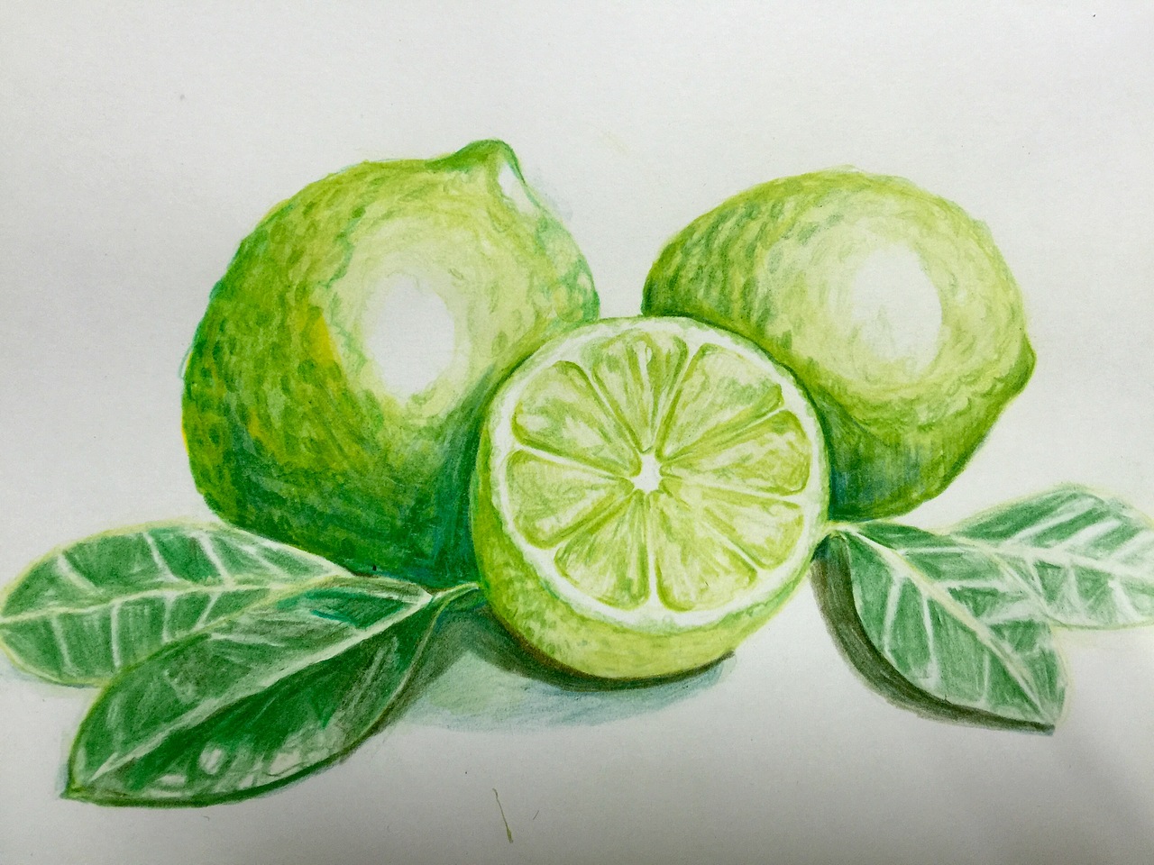 彩铅青柠|纯艺术|绘画|粉沫亭亭_原创作品-站酷zcool