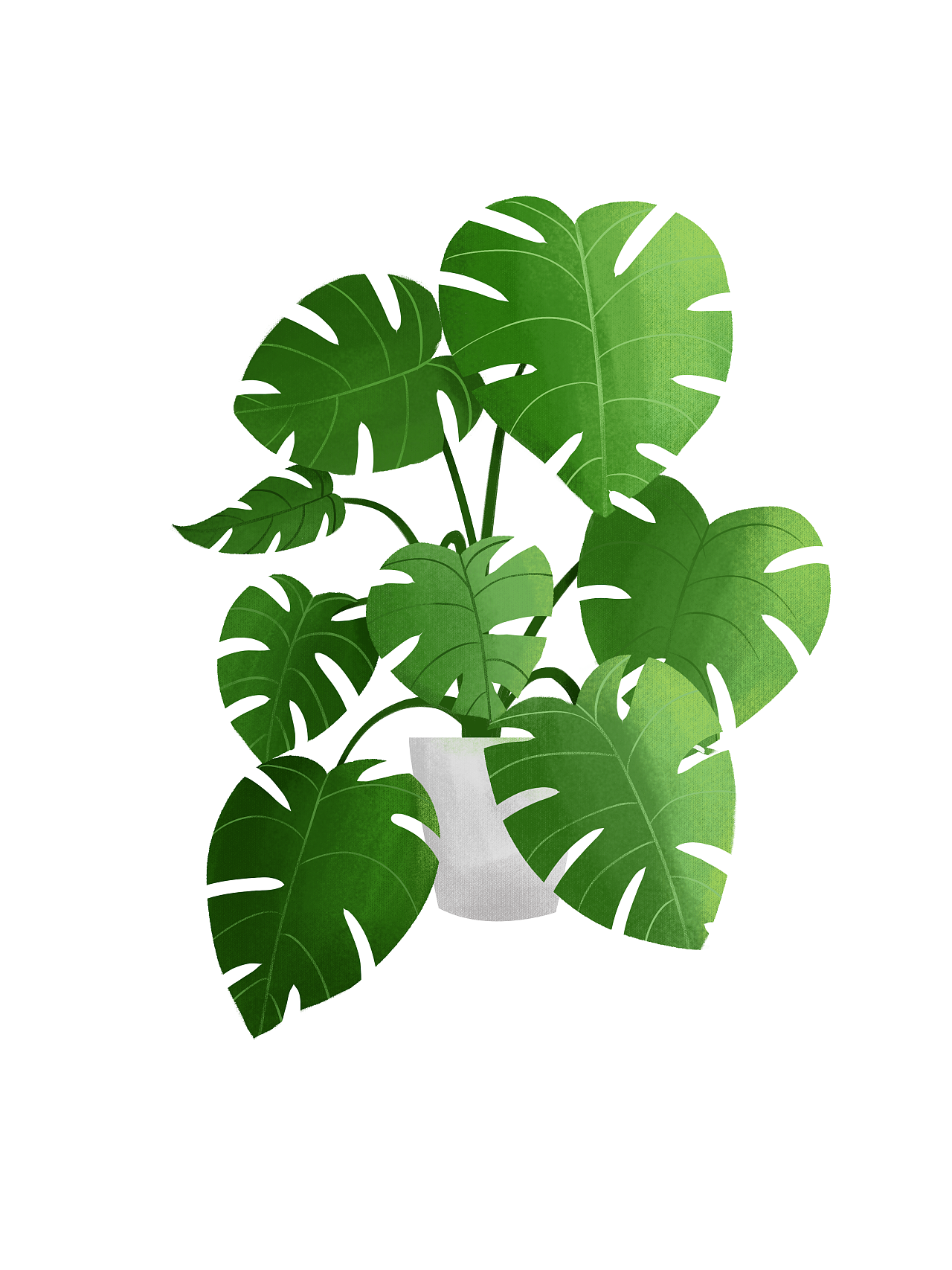 绿植|插画|创作习作|白糖粽子 - 原创作品 - 站酷 (zcool)