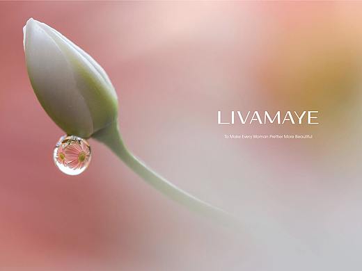 LIVAMAYE - 品牌形象升级