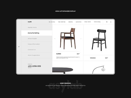 Asylab Official Website Design