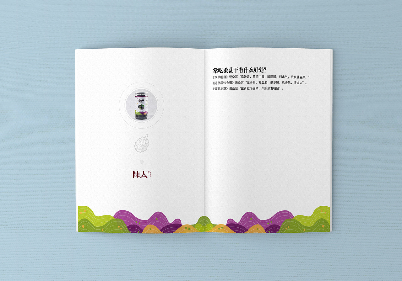 桑葚干的画册（图ZMTYwNDI0MjE2） - 宣传物料 - 站酷设计师范师傅原创素材 - 站酷ZCOOL